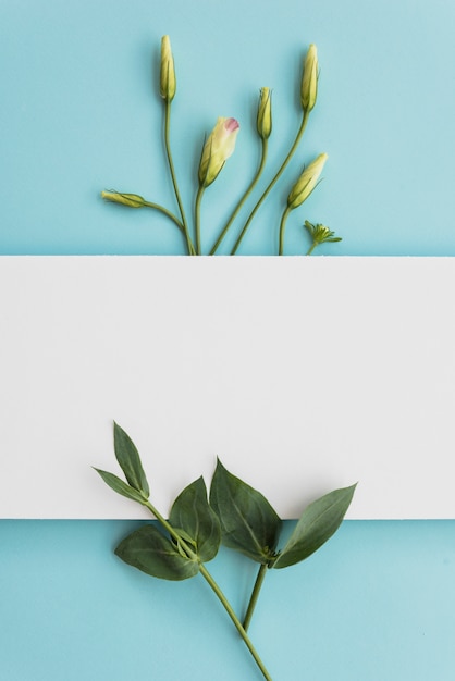 Free photo paper sheet near leaves and buds