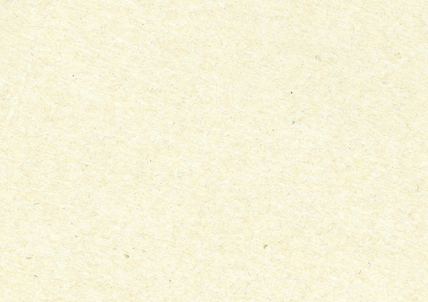 Free Photo papyrus texture