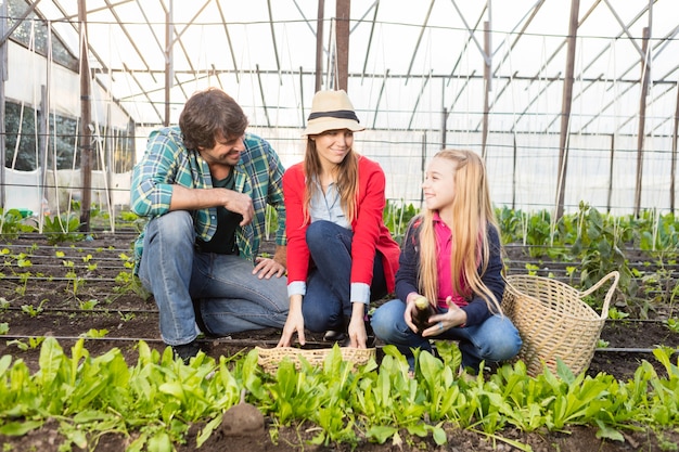 Free photo parents with her daughter in a greenhouse