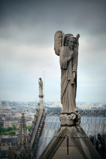 Paris rooftop view from Notre-Dame Cathedral.