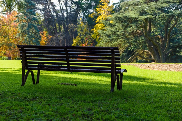 Park benches