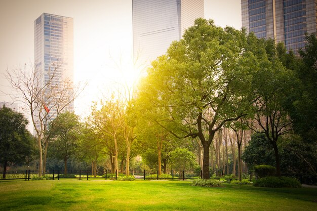 park in lujiazui financial centre, Shanghai, China