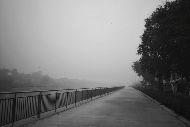 Free Photo a park walkway covered in fog