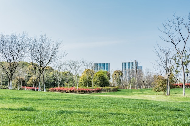 Park with a city behind