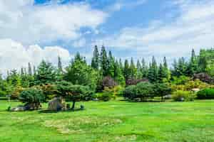 Free photo park with trees