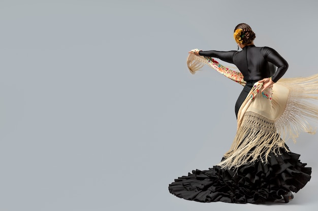 Passionate and elgant flamenco dancer