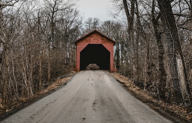 Free photo path leading to a small red garage in the forest with bare trees in winter