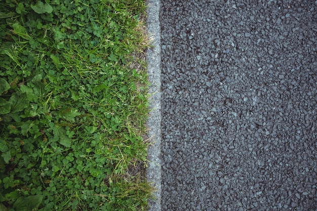 Path passing through grass