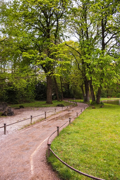 Free Photo path through park with green trees