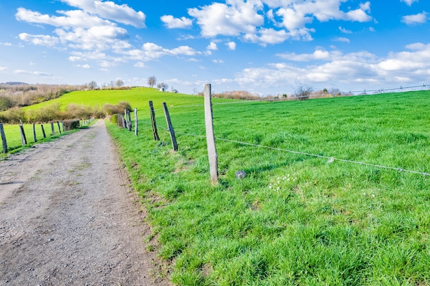 Free photo path through a vast green valley during a sunny day