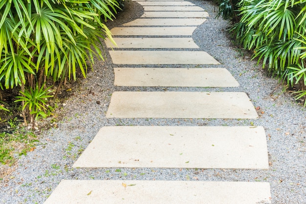 Path way in the garden