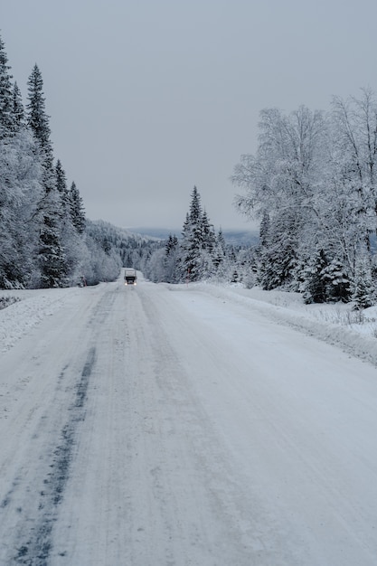 Pathway in a forest covered in the snow with a truck and trees on a blurry background