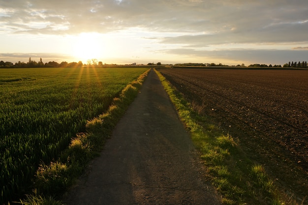 Free photo pathway in the middle of a grassy field under a cloudy sky