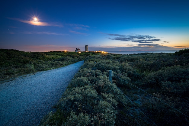 Free Photo pathway surrounded by bushes and greenery leading to a settlement and a sea at sunset