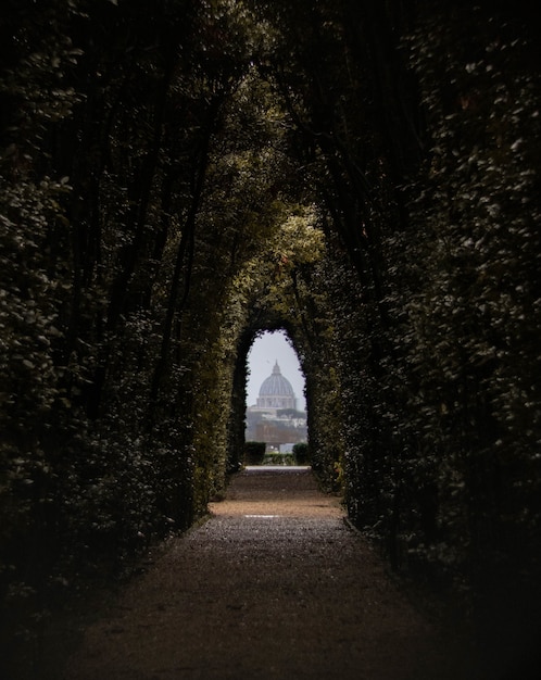 Free photo pathway surrounded by trees under sunlight with a building on the blurry background