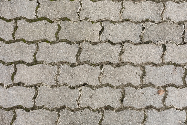 Free Photo pavement with moss and dirt