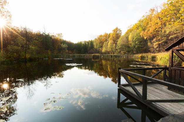 Free Photo peaceful and beautiful landscape in daylight