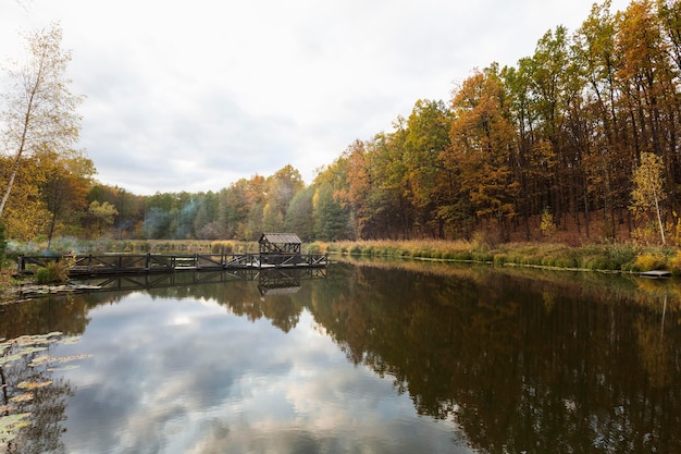 Peaceful and beautiful landscape in daylight