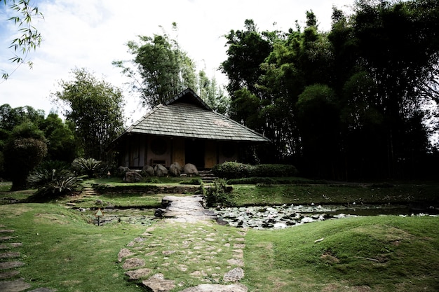 Free photo peaceful cabin in the woods