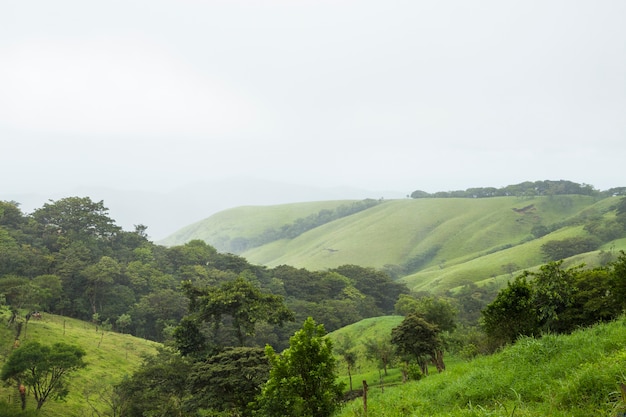 Free Photo peaceful green mountain in tropical costa rica