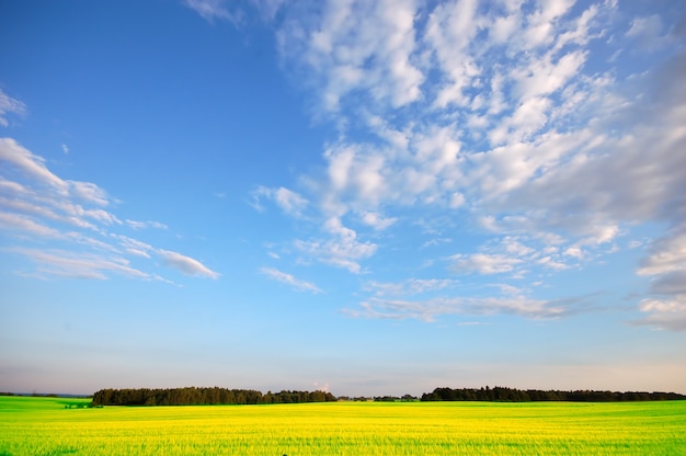 Free Photo peaceful meadow with trees in the distance