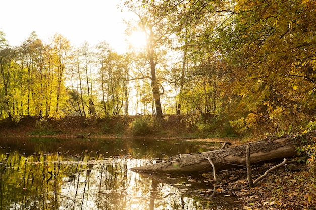 Free photo peaceful mother nature landscape