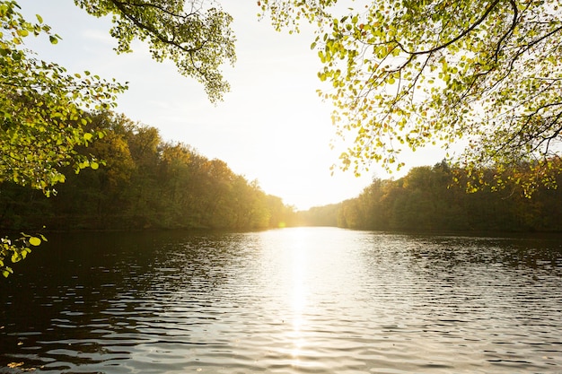 Free Photo peaceful mother nature landscape