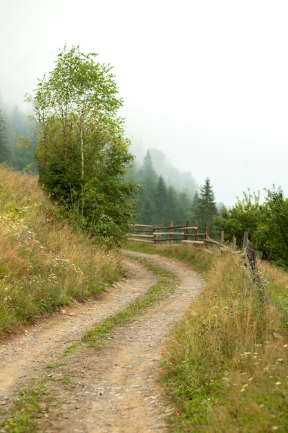 Free Photo peaceful rural surroundings in daylight