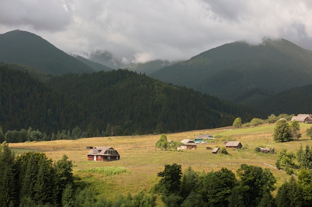 Peaceful rural surroundings in daylight