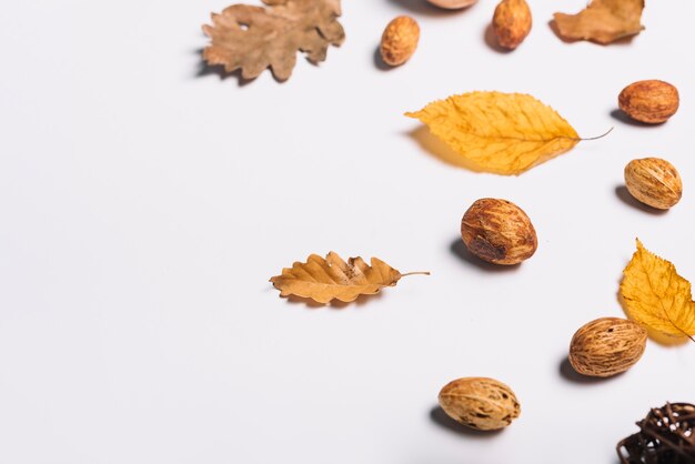 Peach kernels and yellow leaves