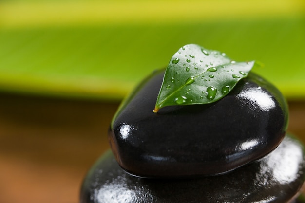 Pebble stones with green leaf