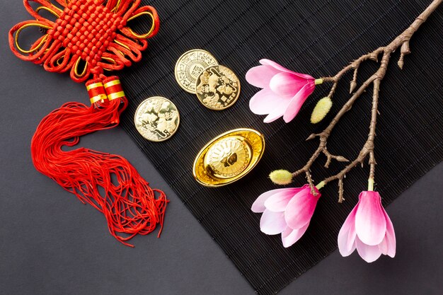 Pendant and golden coins chinese new year