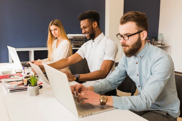 Free Photo people browsing laptops in office