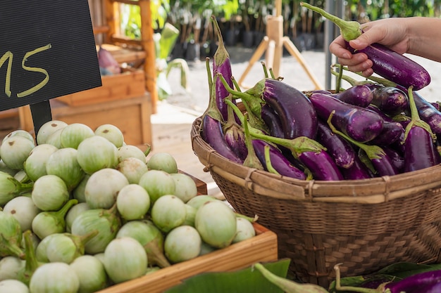 People buy fresh eggplant in local market - customer in vegetables market concept