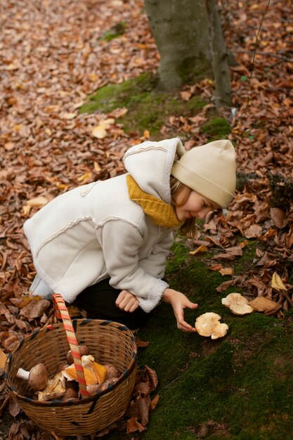 People collecting food from the forest