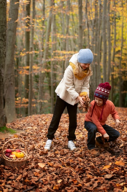 People collecting food from the forest