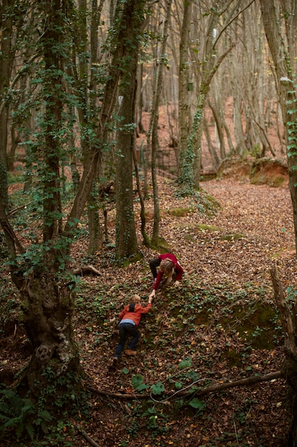 Free Photo people collecting food from the forest