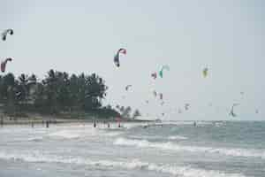 Free photo people kiteboarding on a beach near the trees in the dominican republic