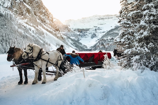 Free photo people near the wagon with forest in the snowy forest near the lake louise in canada