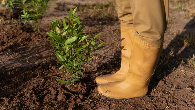 People planting tree on the countryside