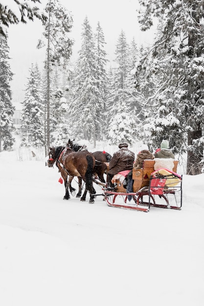 Free Photo people riding on sledge with horses