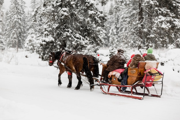 Free photo people on sledge with horses in winter woods