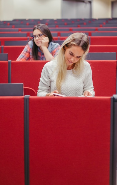 People studying at amphitheater 