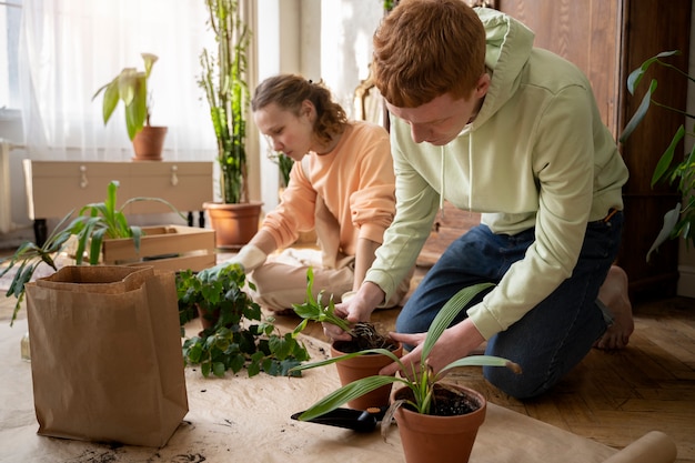 People transplanting plants in new pots