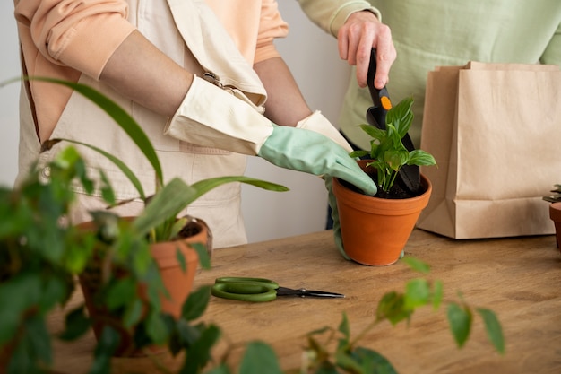 People transplanting plants in new pots