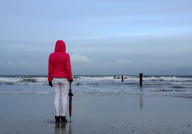 Free Photo people walking by the sea under cloudy sky