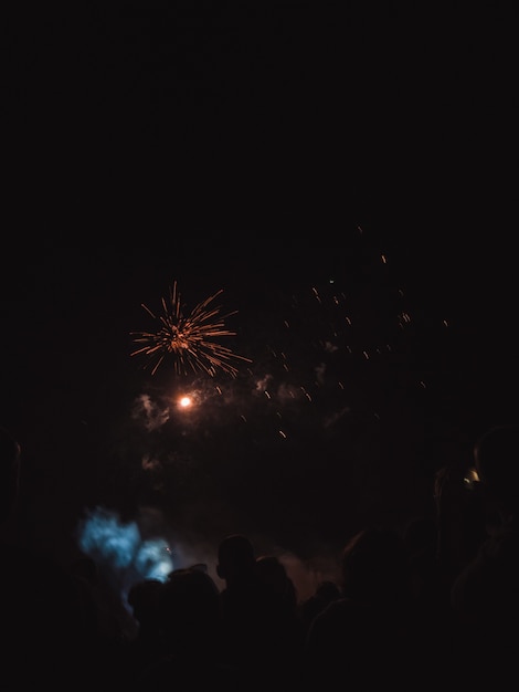 People watching fireworks on night sky