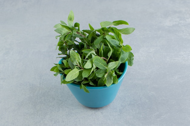 Free Photo peppermint leaves in the bowl , on the marble.