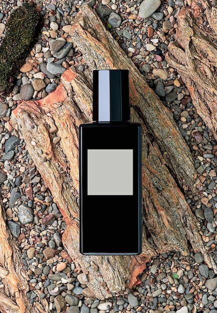 Free photo perfume bottle on a natural background of tree bark and stones, top view. beauty and fashion, perfume template