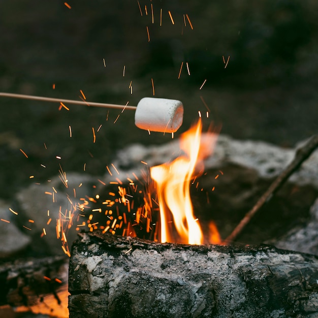 Free photo person burning marshmallows in camp fire